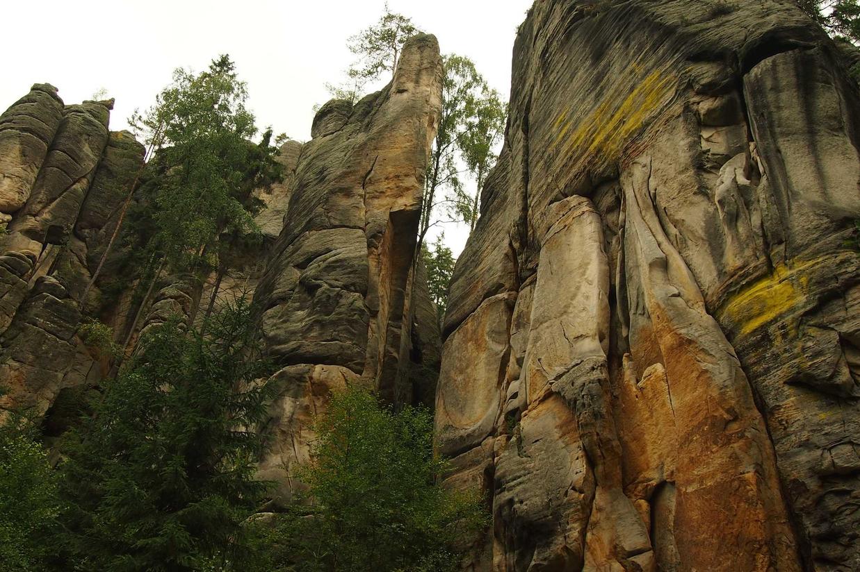 Molestiae eveniet cum eius qui