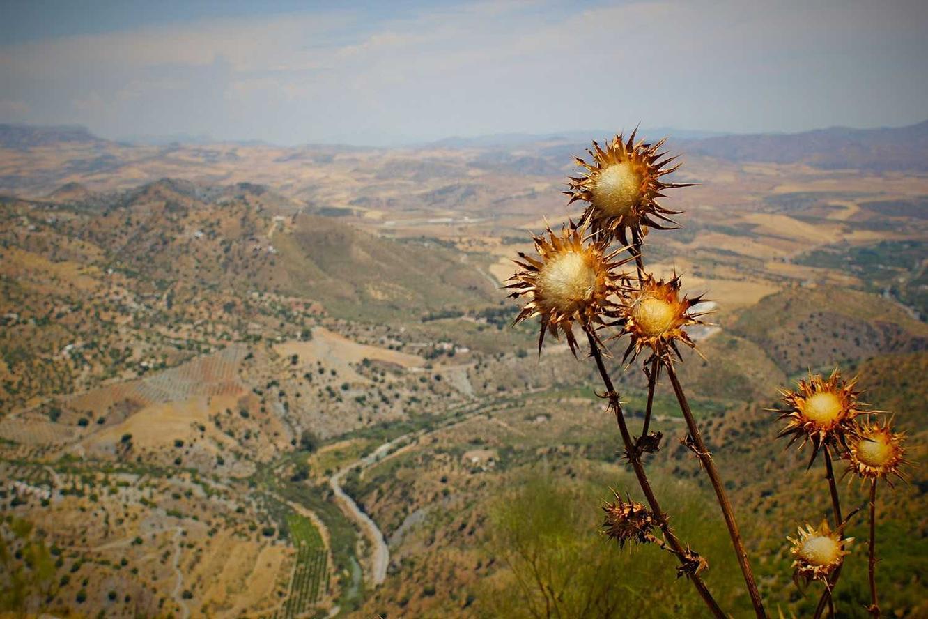 Eius in excepturi provident itaque eos